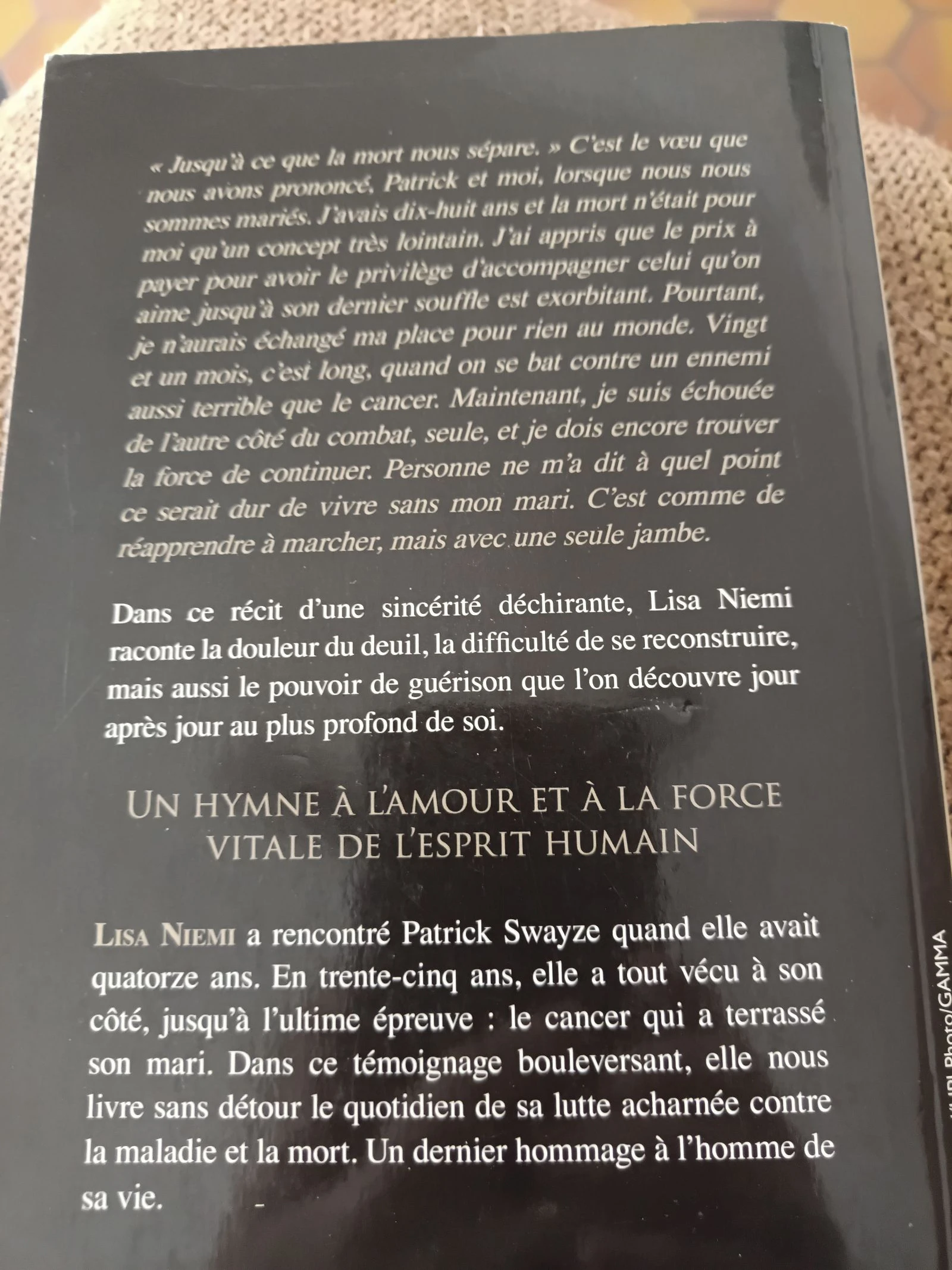 Lutar até o fim por Lisa Niemi-Swayze – photo 2